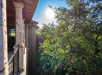 Covered balcony with stone columns overlooking trees